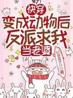 虞真沈寂川